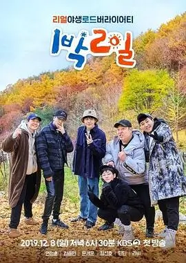 向往的生活 综艺 2025 第7季